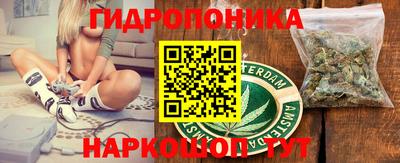 крисы Кинель