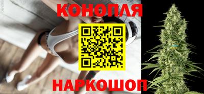крисы Кинель