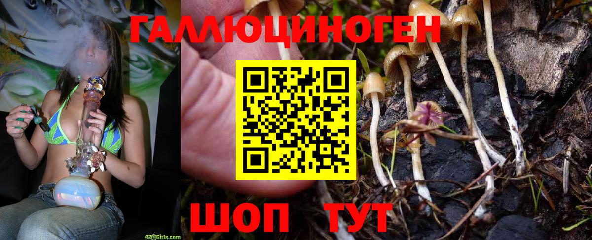 Псилоцибиновые грибы мухоморы  Вход с VPN  Тихвин  Псилоцибиновые грибы ЛСД 